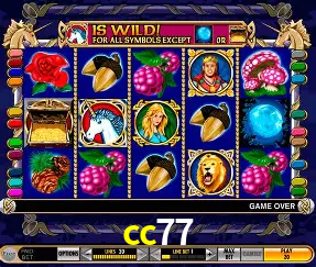 VIP Casino cc77